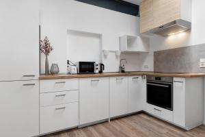 a kitchen with white cabinets and a counter top at Die Alter Schwede Wohnung 2 in Vechta