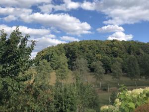 a hill with trees and a blue sky with clouds at Ferienwohnungen Familie Schauerte in Schmallenberg +43 photos