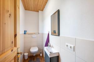 a bathroom with a toilet and a sink and a mirror at Moderner Bungalow, rollstuhlgerecht in Warnow +18 photos