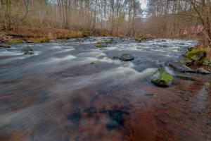 a river in the woods with rocks in the water at Gemütliches Blockhaus im Harz in Bad Sachsa +4 photos