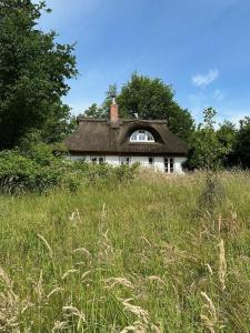 an old house sitting on top of a grass field at Kate unter Reet im Grünen in Buchholz