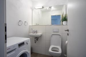 a bathroom with a toilet and a sink and a mirror at Lootsen Hus by Seeblick Ferien in Olpenitz