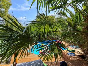 a view of a pool with a palm tree at Le Moulin De Lesnevé in Saint-Avé