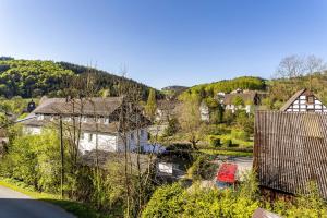 a village with houses and trees and a road at Haus Waldesruh in Medebach