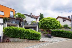 a house with bushes and trees in a driveway at Ferienhaus Schwalbennest in Lörrach