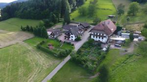 an aerial view of a large house in a field at Kempfenhof in Seelbach
