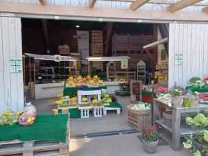an outdoor market with fruits and vegetables on display at Ferienwohnung am Elbstrom in Stade
