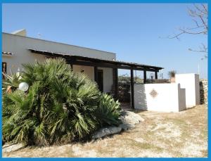a house with palm trees in front of it at Isola Di Favignana in Favignana
