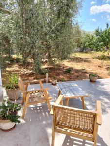 a patio with two benches and a table at Quiet house with garden in Sakiet ez Zit