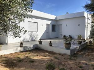 a white house with potted plants in front of it at Quiet house with garden in Sakiet ez Zit
