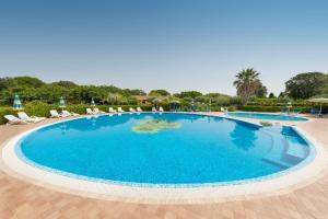 a large swimming pool with chairs and umbrellas at Il Girasole - Limone in Venturina Terme