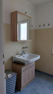 a bathroom with a sink and a mirror at Ferienhaus Barbey in St. Blasien +16 photos