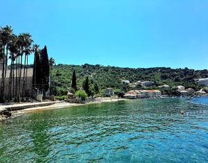 a body of water with a beach and palm trees at Dream Home in Lopud