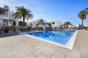 a swimming pool in a resort with palm trees at Bungamerica272 in Playa de las Americas