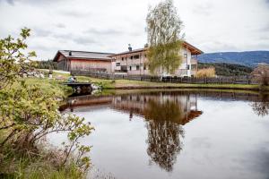 a building next to a body of water at Kieserhof Apartment Alm in Terento