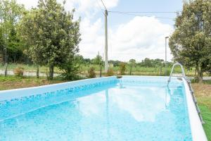 a large swimming pool in a yard with trees at Cottage Casa Luisa in Montalcino