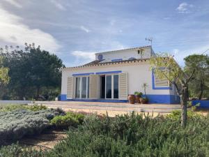 a house with blue and white paint on it at Country House With Private Pool in Tavira