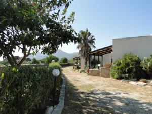 a garden with a house and a palm tree at Isola Di Favignana in Favignana +12 photos