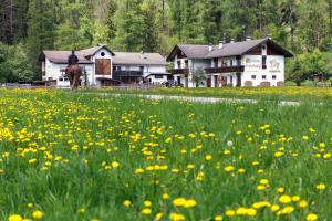 a horse in a field of flowers in front of a house at Peintenhof Typ A in Sand in Taufers