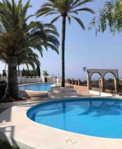 a swimming pool with palm trees in a resort at Almijarahouse in Nerja