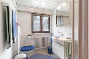a bathroom with a sink and a toilet and a window at Gieringer in Oberharmersbach +21 photos