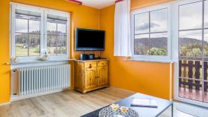 a living room with a flat screen tv and two windows at Fewo Fuchs in Lauterbach