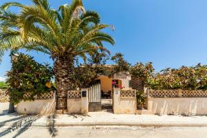a palm tree in front of a house at Casa Mediterranea in Cala Santanyi