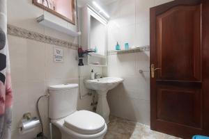 a small bathroom with a toilet and a sink at Vivienda V Torres 1 in Vega de San Mateo +13 photos