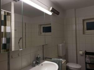 a bathroom with a sink and a toilet and a mirror at Bei Dörflingers in Klettgau +10 photos
