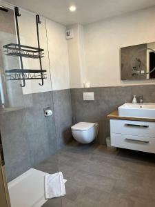a bathroom with a shower and a toilet and a sink at Bio Bausewein - No.2 Apartment in Iphofen +3 photos