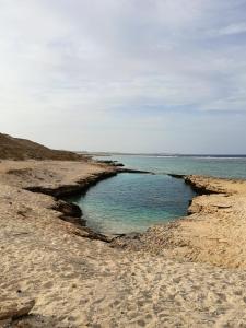 a beach with a body of water with rocks at 2 rooms, 2 balconies in Marsa Alam City +8 photos