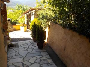 a patio with potted plants next to a wall at Le Mas in Arles-sur-Tech