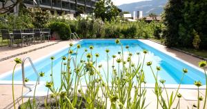 a blue swimming pool with flowers in the foreground at Garni Unterweggütl in Naturno