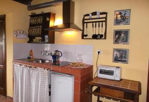 a kitchen with a counter with a sink and a microwave at Aptos Monasterio de San Antonio 4 in Icod de los Vinos