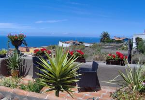a patio with a table and chairs and flowers at Aptos Monasterio de San Antonio 4 in Icod de los Vinos
