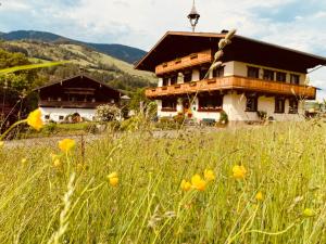 a house in a field of grass with yellow flowers at Wolfbachgut - Ferienwohnung 1 in Taxenbach +5 photos