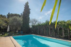 a swimming pool in a yard with trees at Maison Blousson, Longère gersoise in Malabat