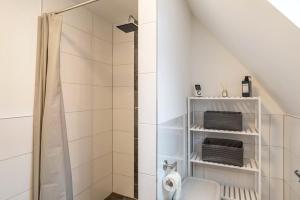 a bathroom with a shower and a toilet at Unique Apartments Wiesloch in Wiesloch +14 photos