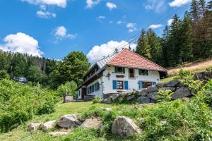 a house with a red roof on a hill at Ferien Alm Alfret in Herrischried