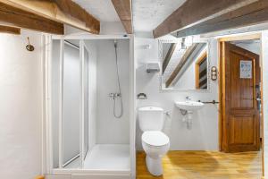 a bathroom with a toilet and a shower and a sink at La Carrasca in Catral +37 photos