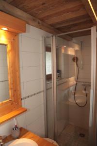 a glass shower in a bathroom with a sink at Mayen de l'Art d Vivre in Crans-Montana