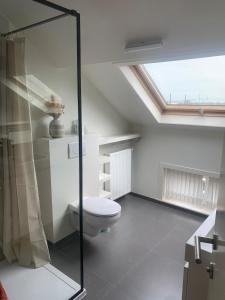 a bathroom with a toilet and a glass shower at Cosy Studio in Mechelen by Studio Pila in Mechelen +21 photos