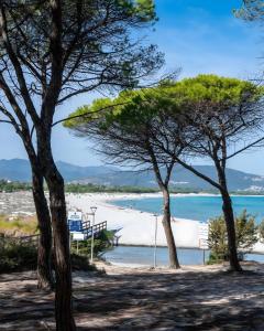 a view of a beach with trees in the foreground at Villa Fiorita in Budoni