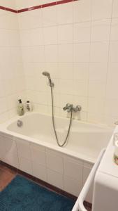 a bath tub with a shower in a bathroom at Le Magnifique 3 personnes Drancy in Drancy