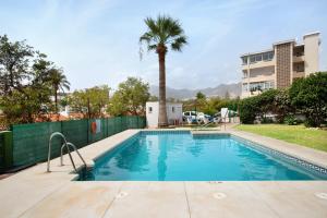 a swimming pool with a palm tree and a building at Prealsa Benalmádena in Benalmádena