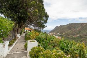 a path leading down a hill with a view of a valley at La Estrella in Hermigua