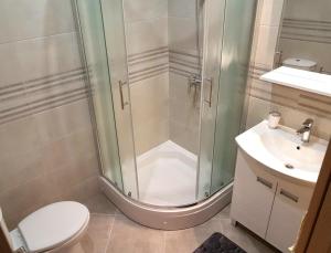 a bathroom with a shower and a toilet and a sink at Apartmani Dalibor, Stanići - Omiš in Stanići +34 photos