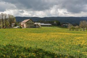 a field of yellow flowers in front of a house at Gîte Le Chalimont in Saint-Julien-en-Vercors