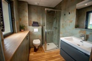a bathroom with a shower and a toilet and a sink at Lieu-dit Boulage in Marquefave +56 photos