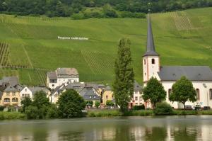a small town with a church and a river at Ferienwohnung 2 in Bernkastel-Kues